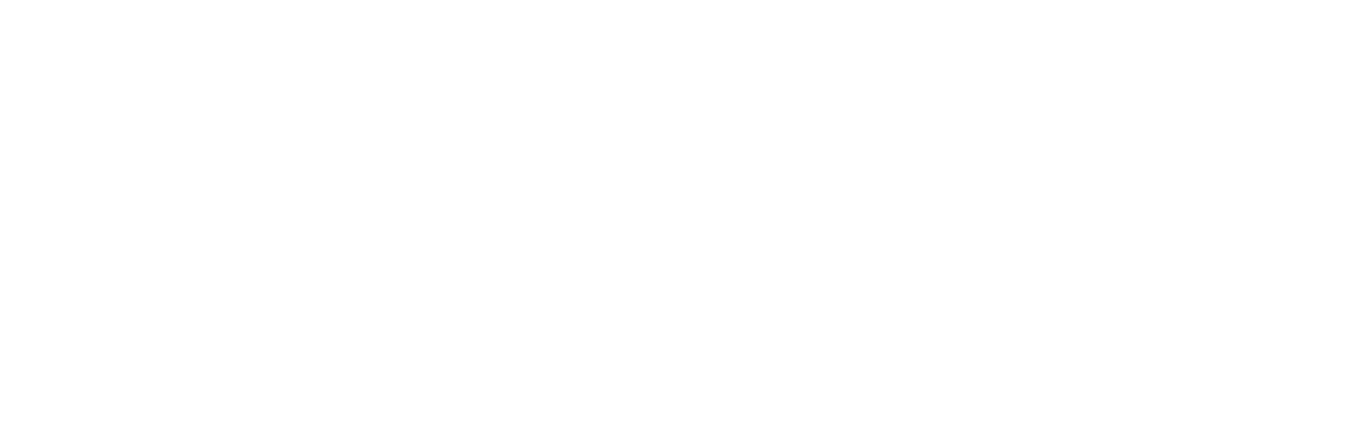 Logo blanco - equipo de marketing digital trabajando Google Ads